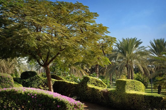 مزرعة ومنتجع الزوير السياحي