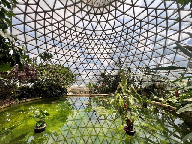 حدائق بريسبان النباتية – جبل كوت ثا